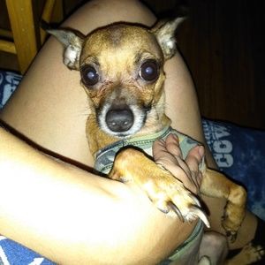 Meet your Posher, Ravin